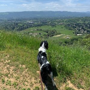 Meet your Posher, Ava